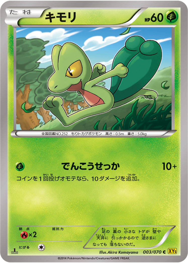 キモリ (C) #003/070