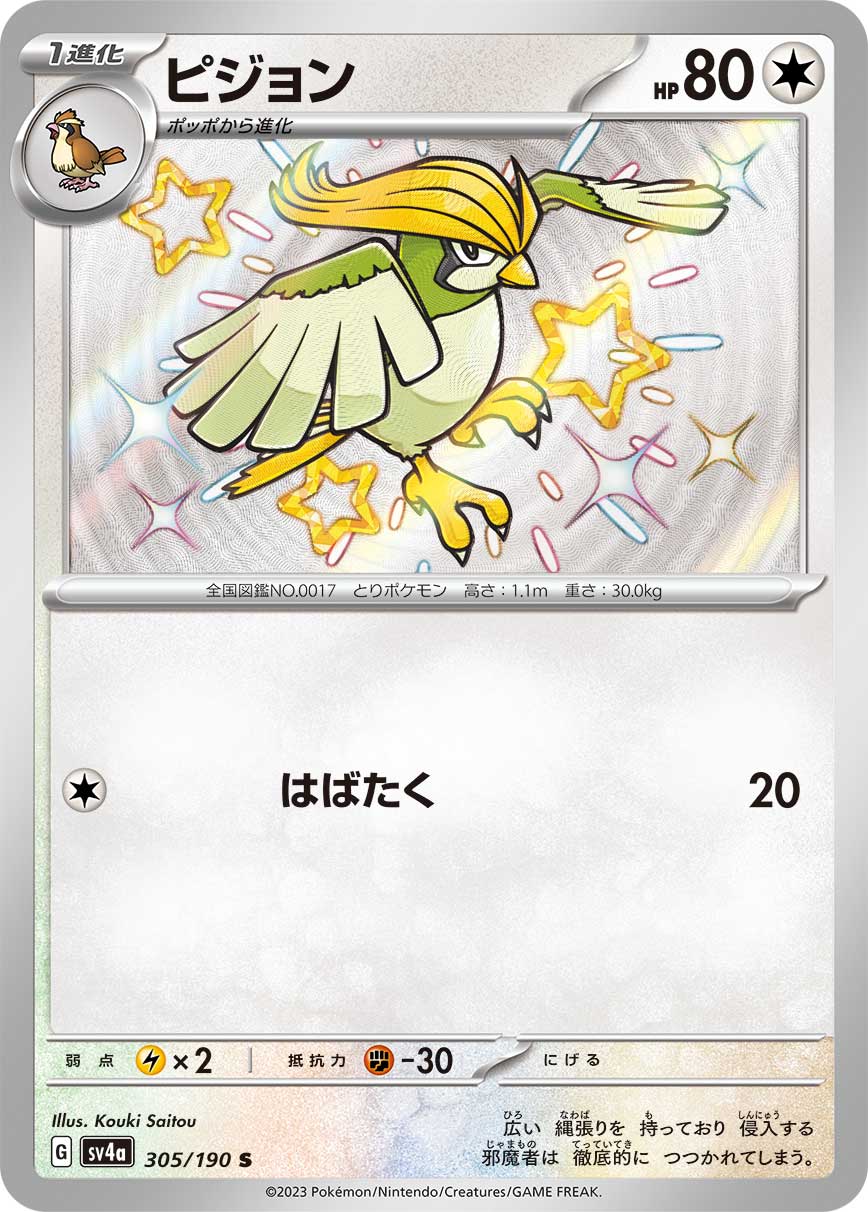 ピジョン (S) #305/190
