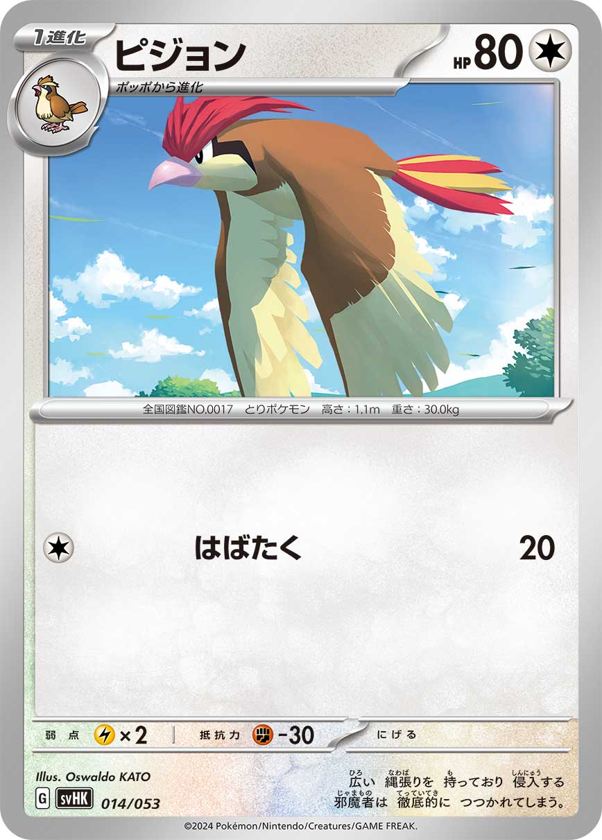 ピジョン () #014/053