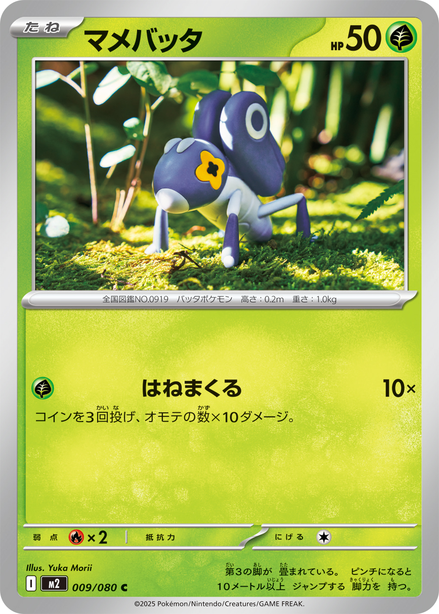 マメバッタ (C) #009/080